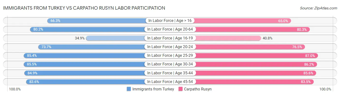 Immigrants from Turkey vs Carpatho Rusyn Labor Participation