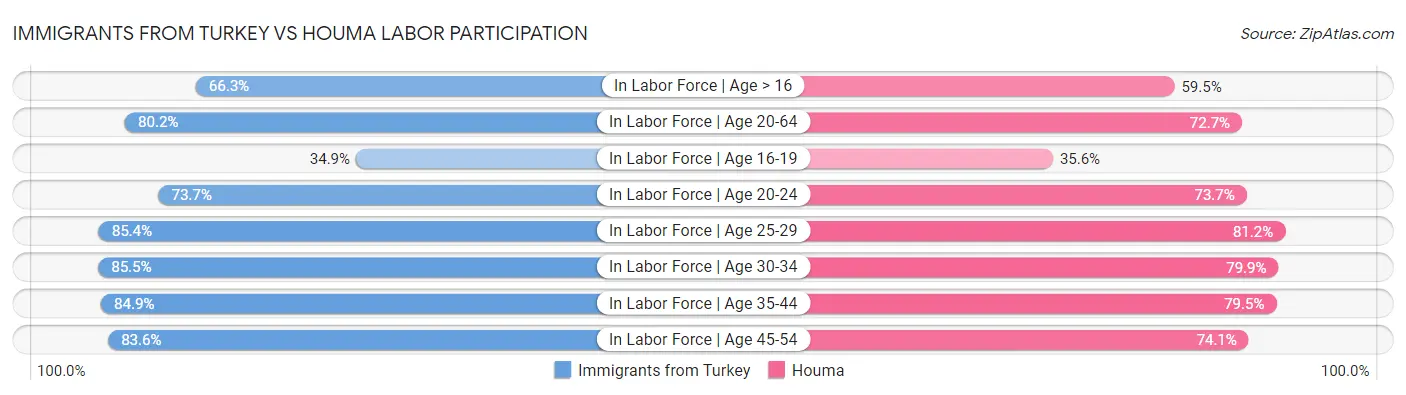 Immigrants from Turkey vs Houma Labor Participation