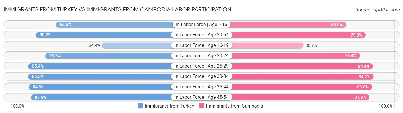 Immigrants from Turkey vs Immigrants from Cambodia Labor Participation