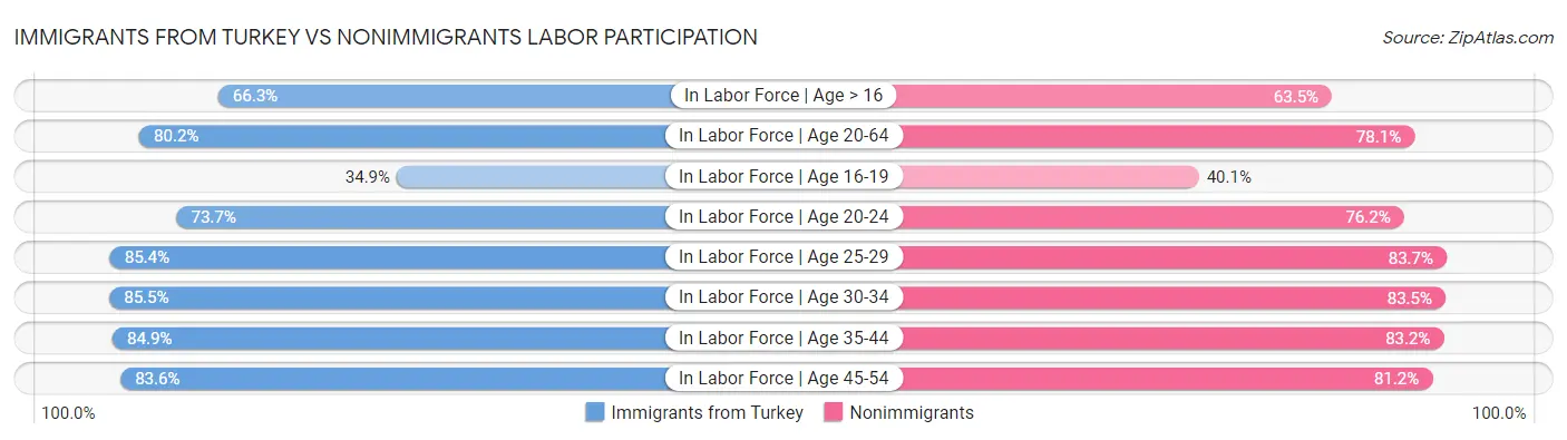 Immigrants from Turkey vs Nonimmigrants Labor Participation