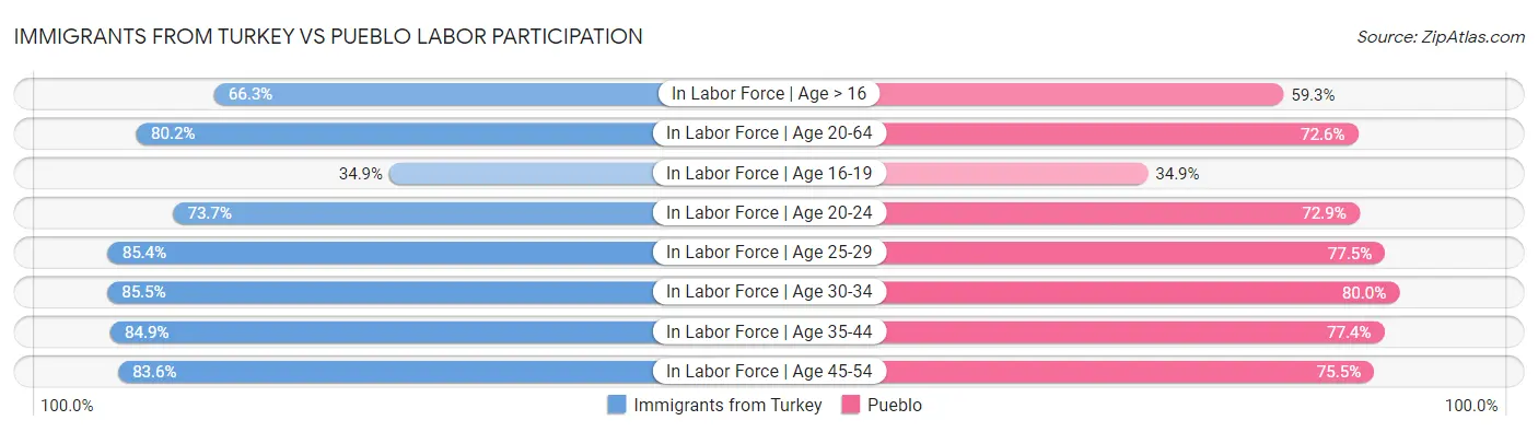 Immigrants from Turkey vs Pueblo Labor Participation