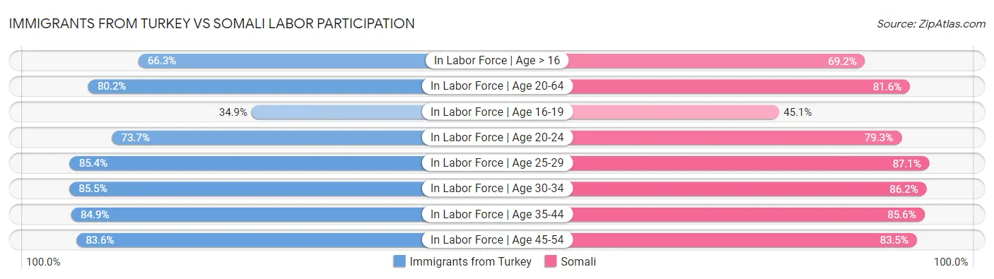 Immigrants from Turkey vs Somali Labor Participation
