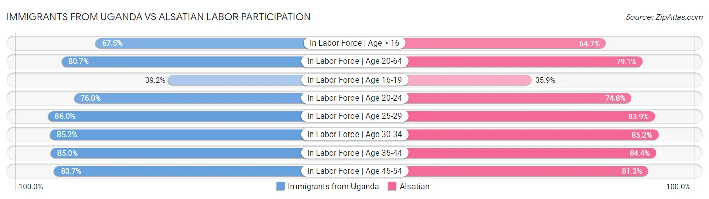 Immigrants from Uganda vs Alsatian Labor Participation