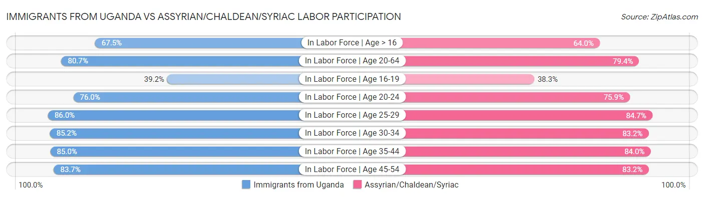 Immigrants from Uganda vs Assyrian/Chaldean/Syriac Labor Participation