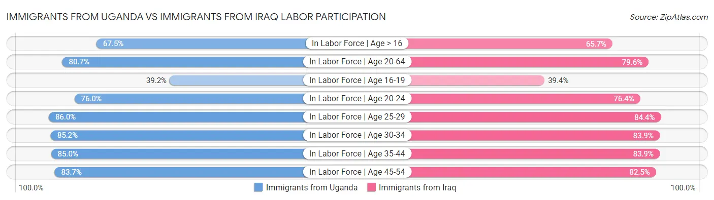 Immigrants from Uganda vs Immigrants from Iraq Labor Participation