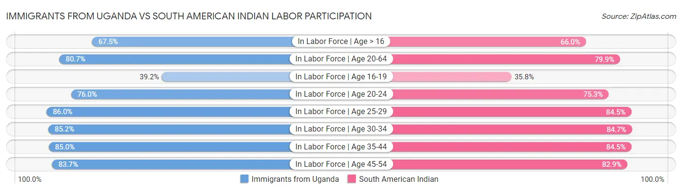 Immigrants from Uganda vs South American Indian Labor Participation