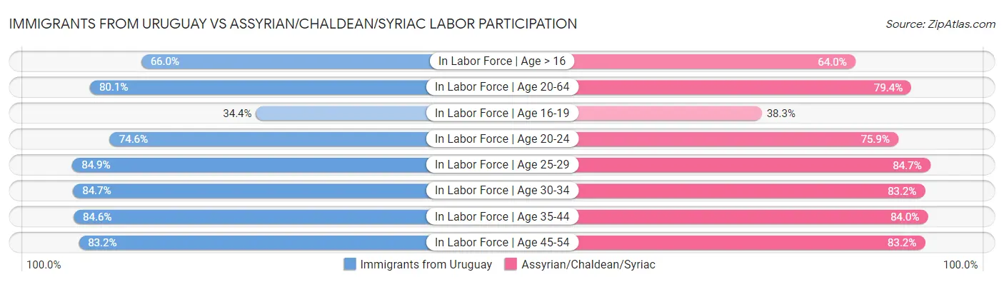 Immigrants from Uruguay vs Assyrian/Chaldean/Syriac Labor Participation