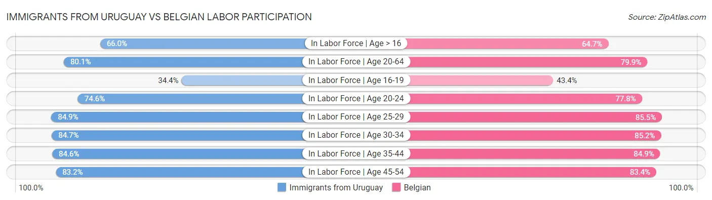 Immigrants from Uruguay vs Belgian Labor Participation