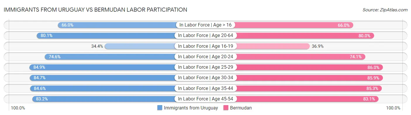 Immigrants from Uruguay vs Bermudan Labor Participation