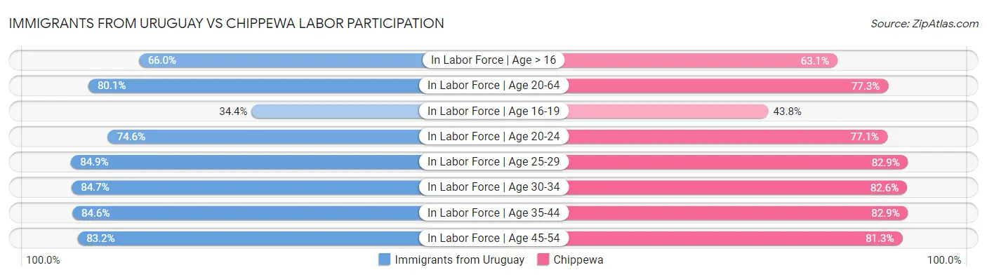 Immigrants from Uruguay vs Chippewa Labor Participation