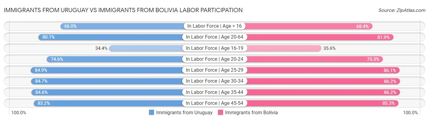 Immigrants from Uruguay vs Immigrants from Bolivia Labor Participation