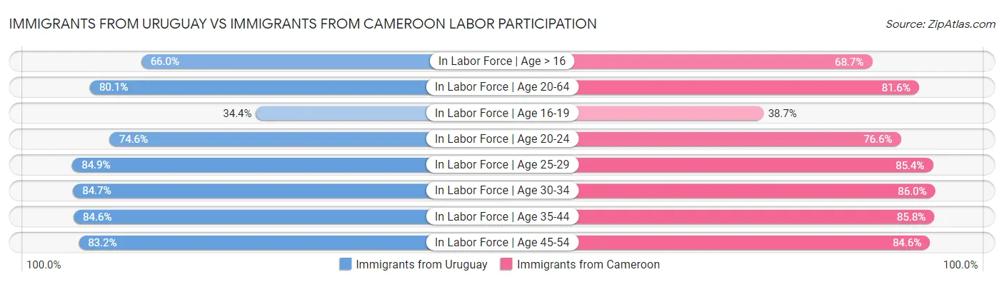 Immigrants from Uruguay vs Immigrants from Cameroon Labor Participation