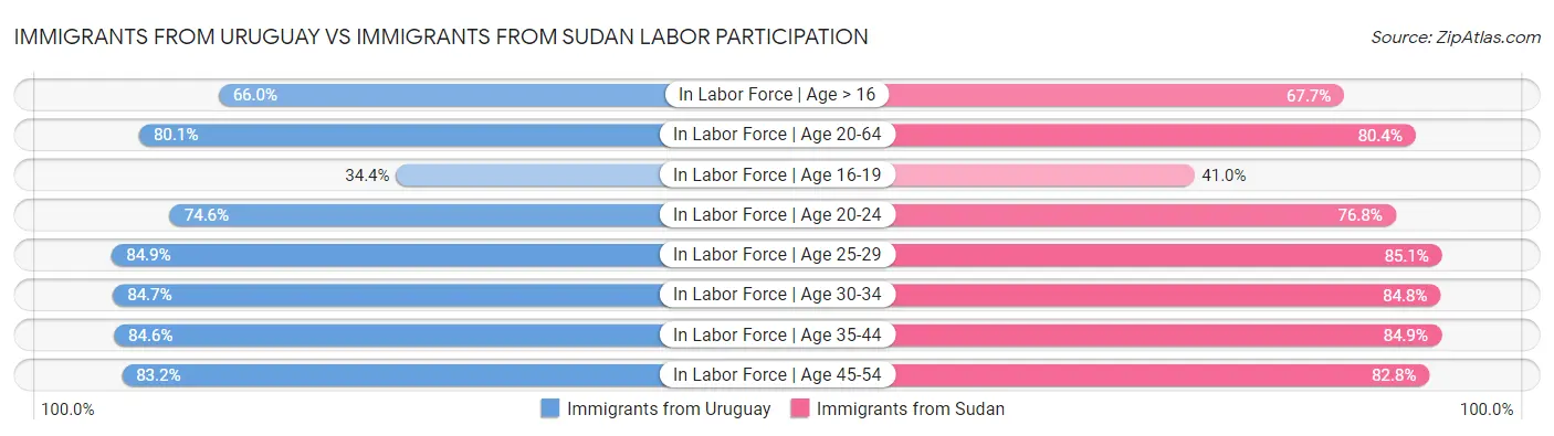 Immigrants from Uruguay vs Immigrants from Sudan Labor Participation