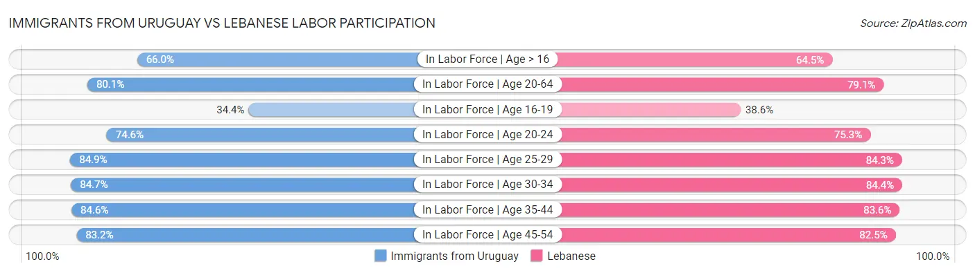 Immigrants from Uruguay vs Lebanese Labor Participation