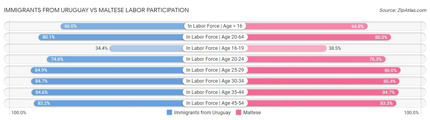 Immigrants from Uruguay vs Maltese Labor Participation