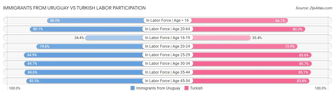 Immigrants from Uruguay vs Turkish Labor Participation