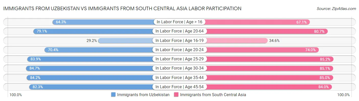 Immigrants from Uzbekistan vs Immigrants from South Central Asia Labor Participation