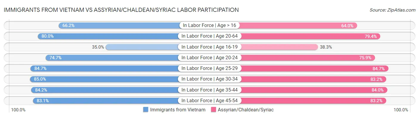 Immigrants from Vietnam vs Assyrian/Chaldean/Syriac Labor Participation