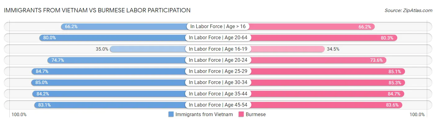 Immigrants from Vietnam vs Burmese Labor Participation