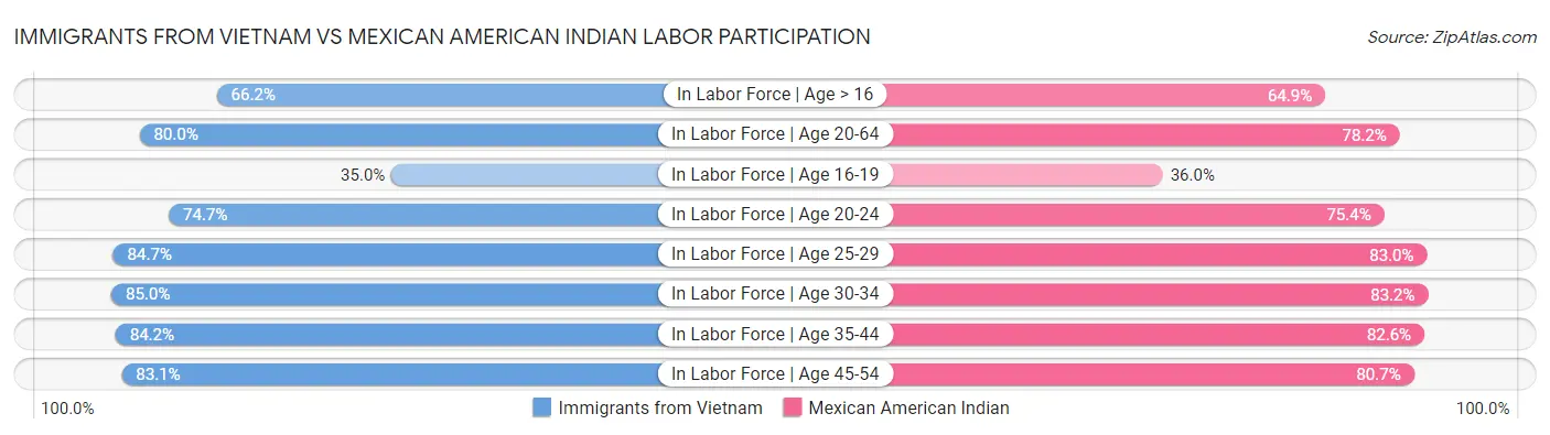 Immigrants from Vietnam vs Mexican American Indian Labor Participation