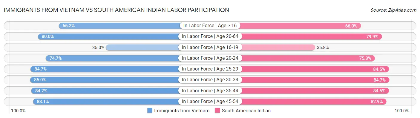 Immigrants from Vietnam vs South American Indian Labor Participation