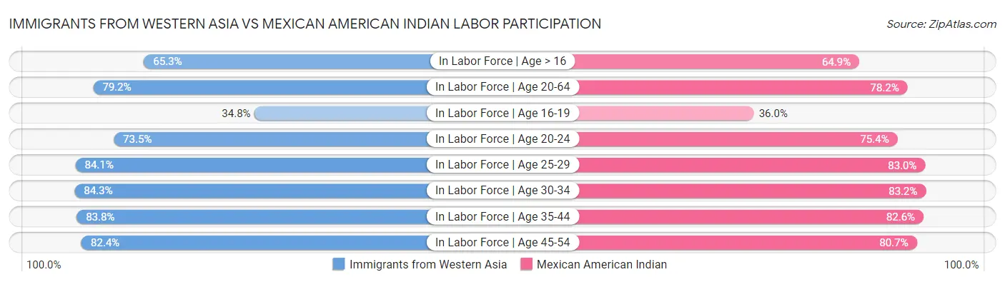 Immigrants from Western Asia vs Mexican American Indian Labor Participation