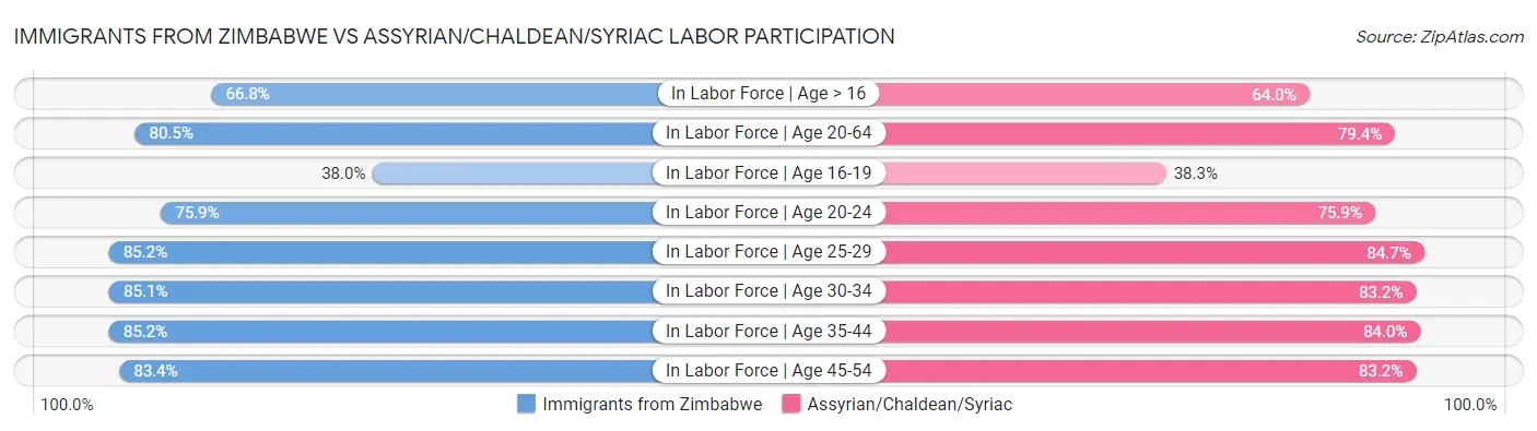 Immigrants from Zimbabwe vs Assyrian/Chaldean/Syriac Labor Participation