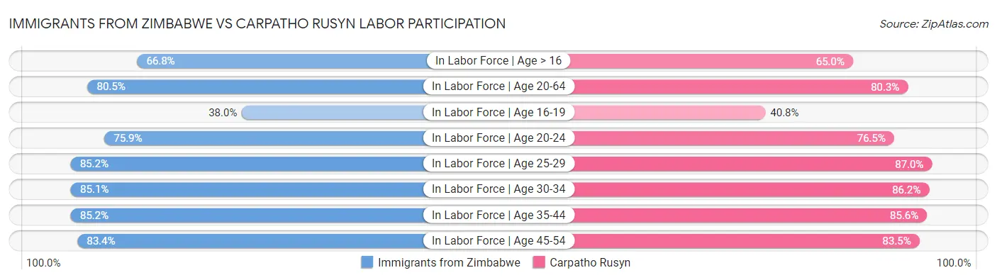 Immigrants from Zimbabwe vs Carpatho Rusyn Labor Participation