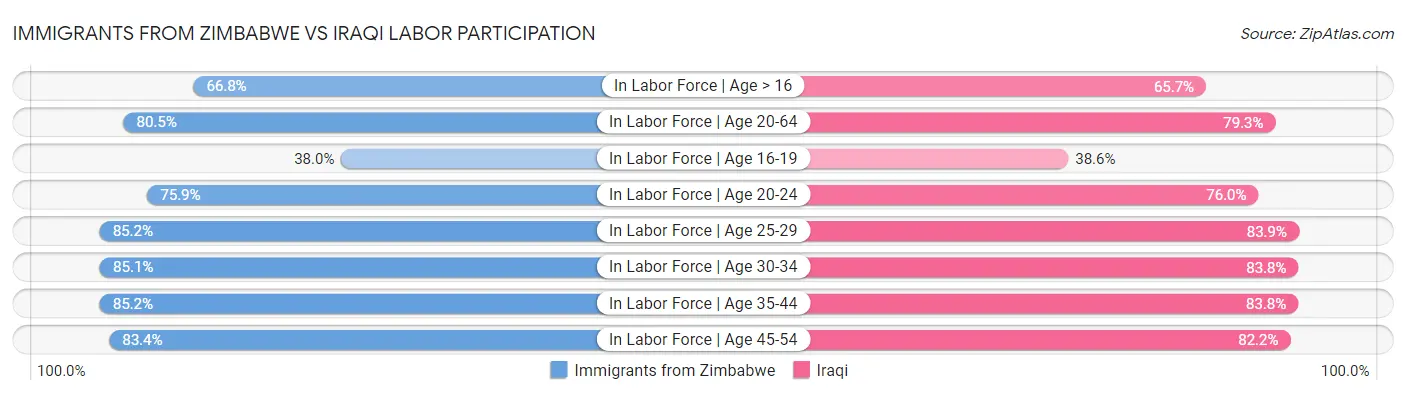 Immigrants from Zimbabwe vs Iraqi Labor Participation