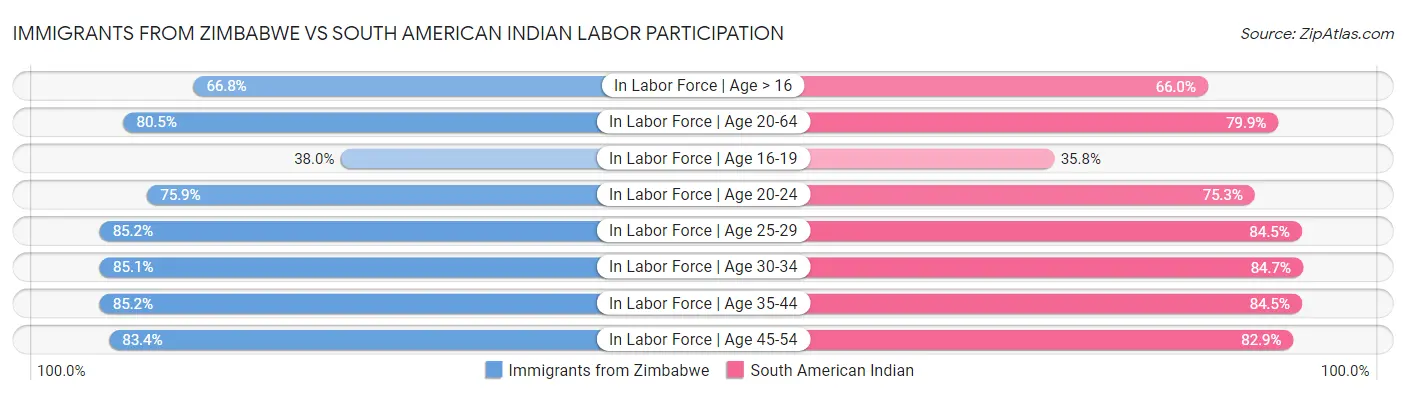 Immigrants from Zimbabwe vs South American Indian Labor Participation