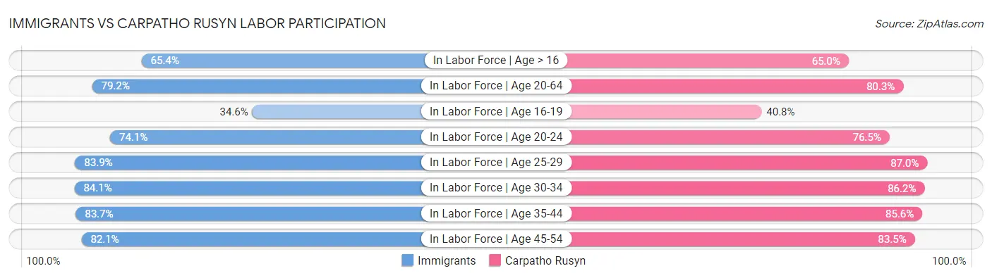 Immigrants vs Carpatho Rusyn Labor Participation