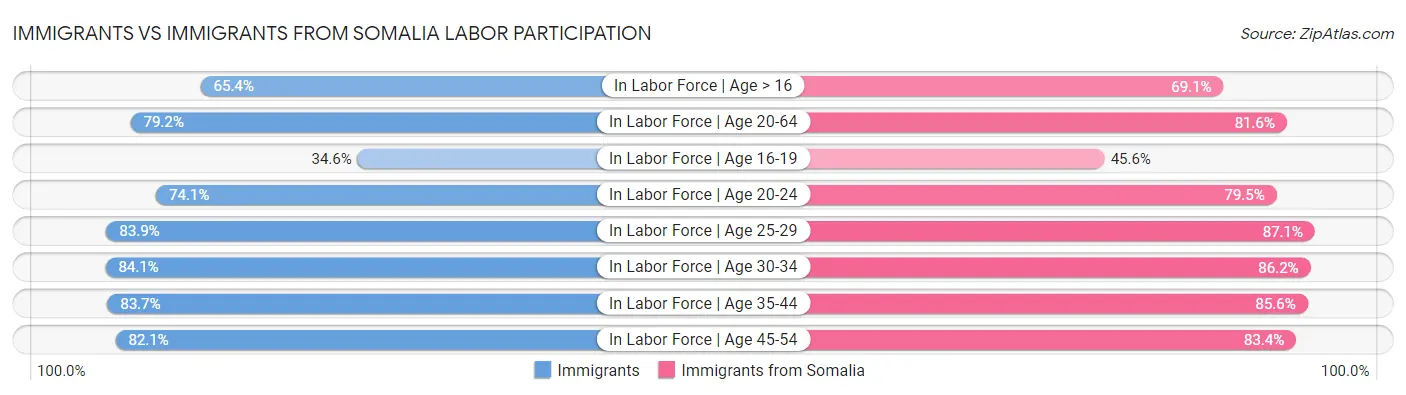 Immigrants vs Immigrants from Somalia Labor Participation