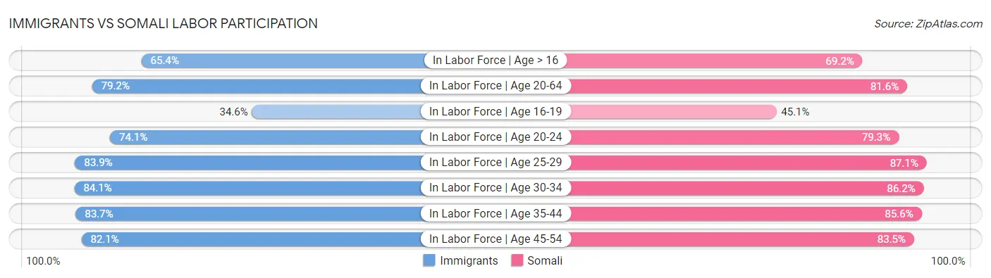 Immigrants vs Somali Labor Participation
