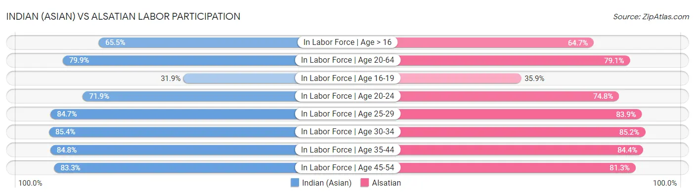 Indian (Asian) vs Alsatian Labor Participation
