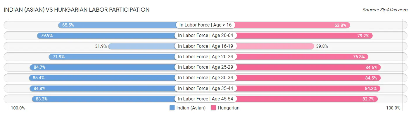 Indian (Asian) vs Hungarian Labor Participation