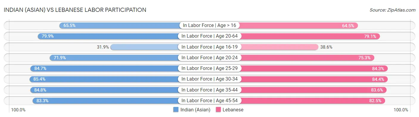 Indian (Asian) vs Lebanese Labor Participation