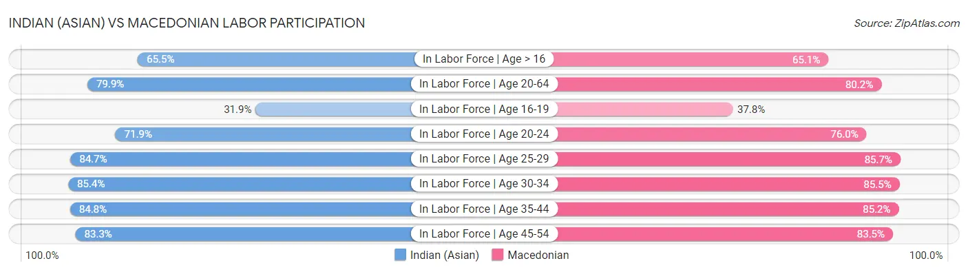 Indian (Asian) vs Macedonian Labor Participation