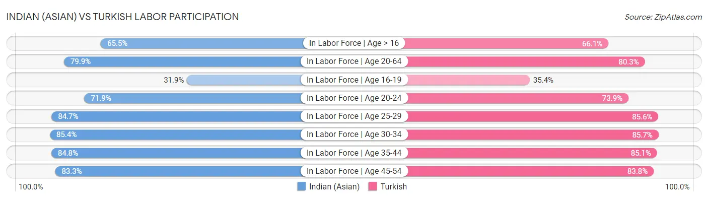 Indian (Asian) vs Turkish Labor Participation