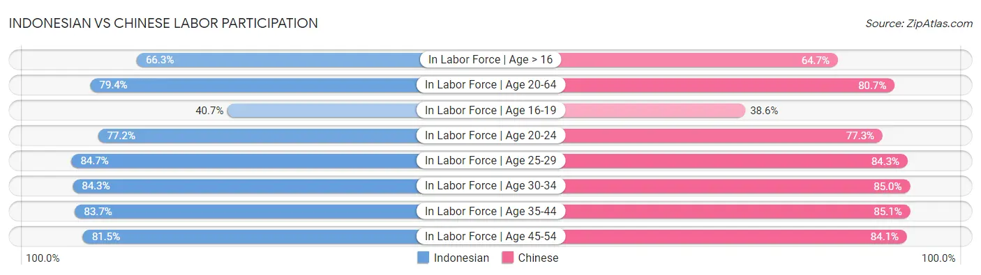 Indonesian vs Chinese Labor Participation