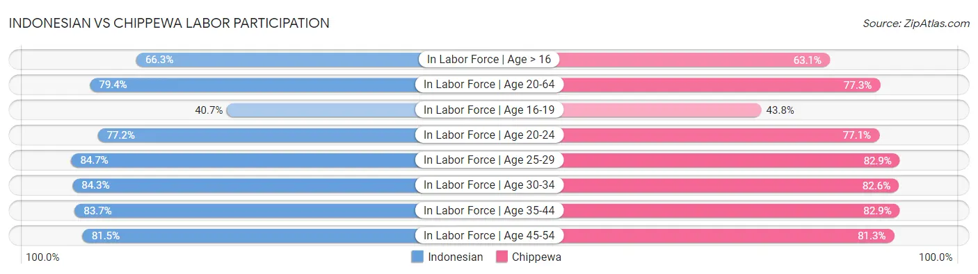 Indonesian vs Chippewa Labor Participation