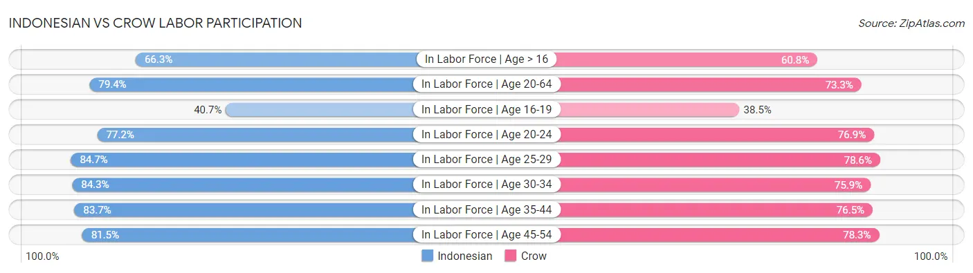 Indonesian vs Crow Labor Participation
