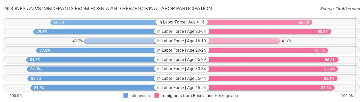Indonesian vs Immigrants from Bosnia and Herzegovina Labor Participation