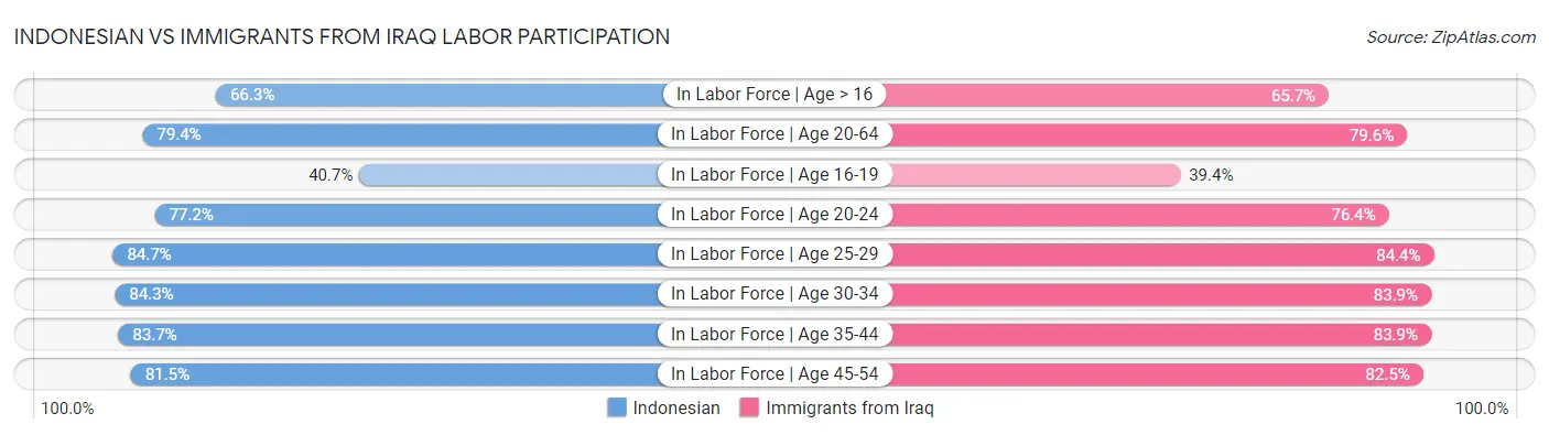 Indonesian vs Immigrants from Iraq Labor Participation