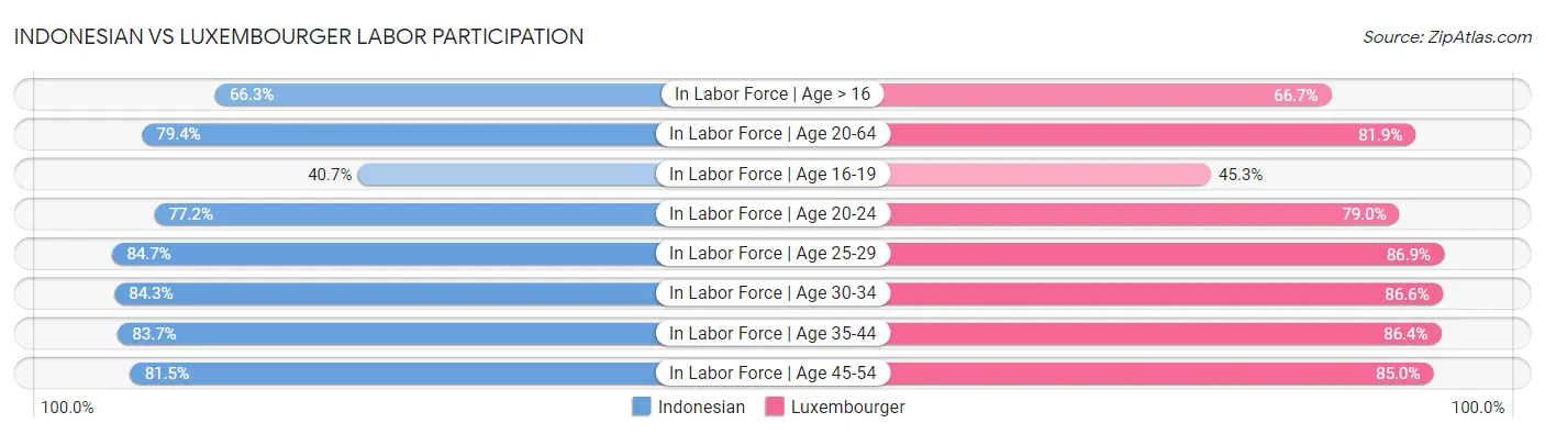 Indonesian vs Luxembourger Labor Participation