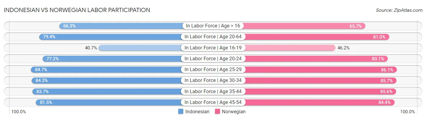 Indonesian vs Norwegian Labor Participation