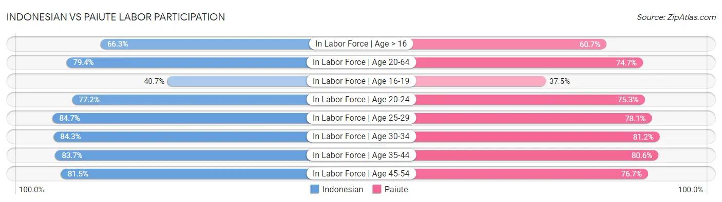 Indonesian vs Paiute Labor Participation