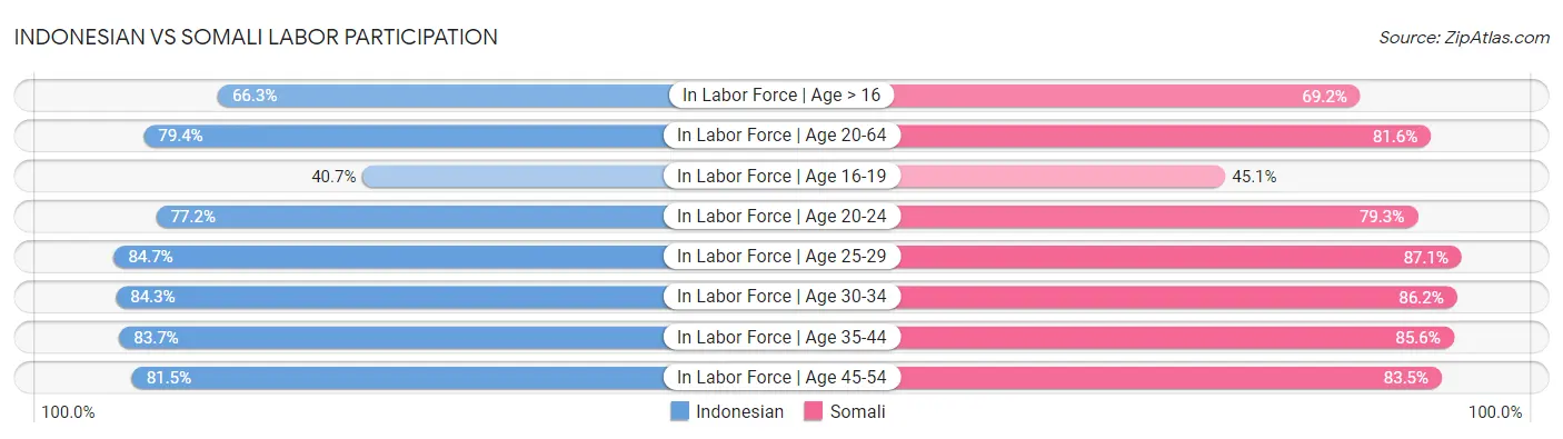 Indonesian vs Somali Labor Participation