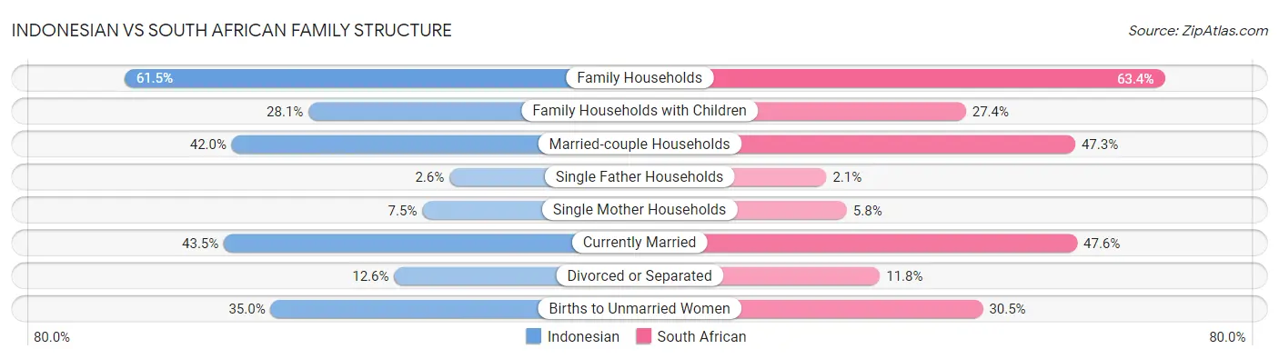 Indonesian vs South African Family Structure