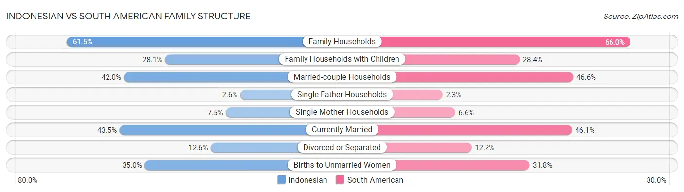 Indonesian vs South American Family Structure