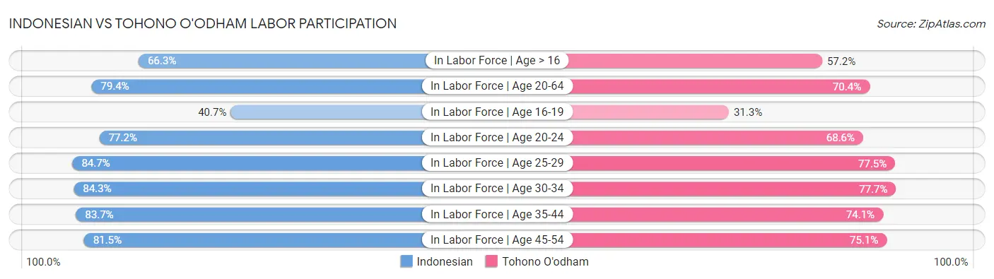 Indonesian vs Tohono O'odham Labor Participation